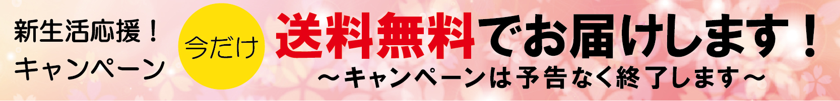 配送料無料キャンペーン中です